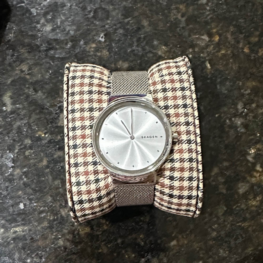 Skagen Silver Dial Mesh Watch SKW1105